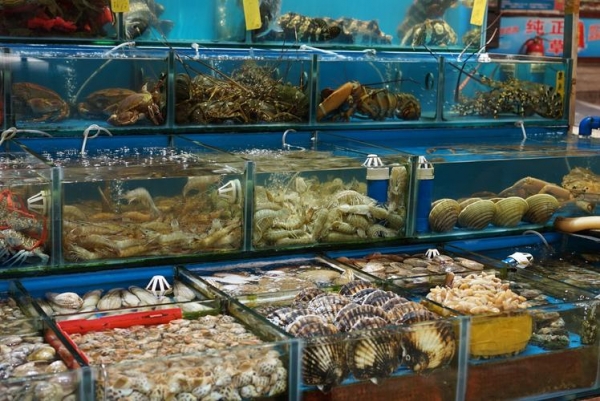 豬價波動與水產品市場聯動分析