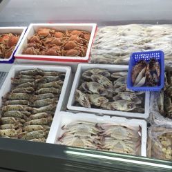北京西南郊肉類水產(chǎn)品市場全攻略 電話、地址、價(jià)格與營業(yè)時間